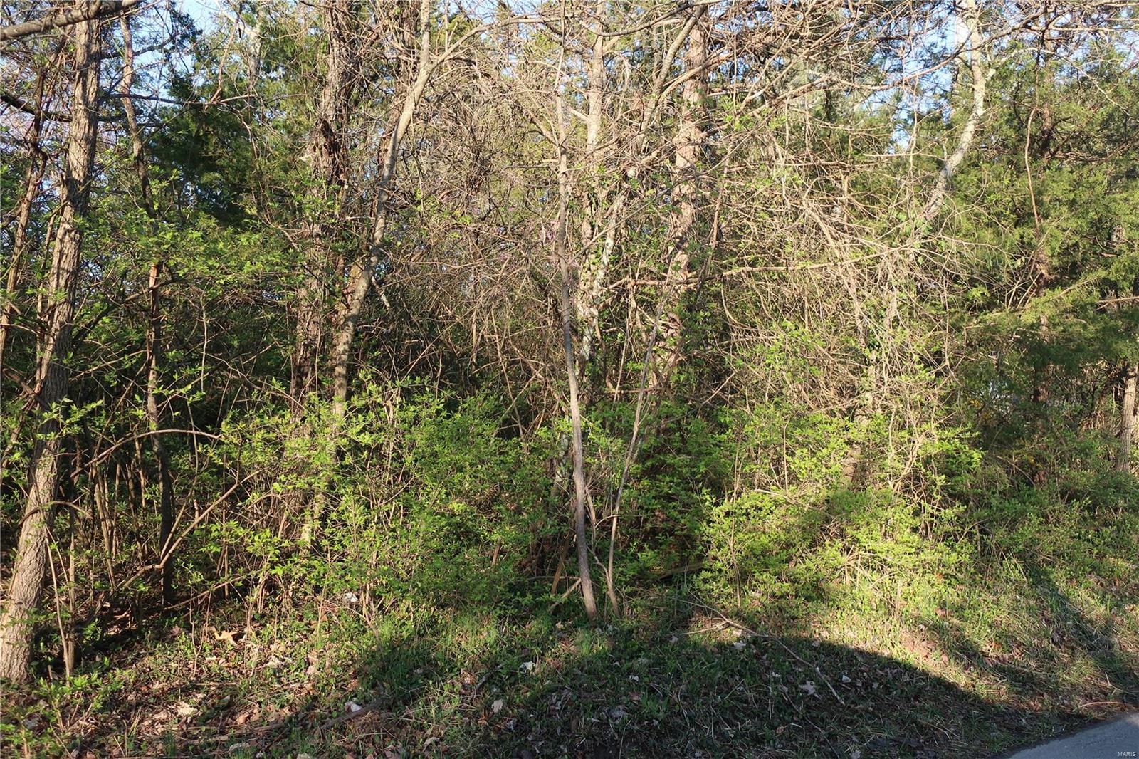 Undisclosed Address Cedar Hill, MO 63016 - Photo 7 of 7