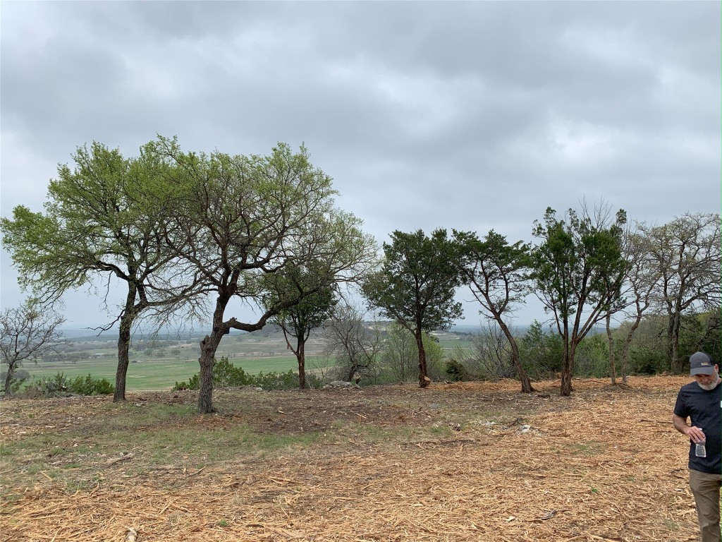 Lot 4 Old Osage Road Gatesville, TX 76528 - Photo 4 of 7 a view of a yard with a tree