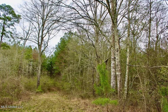 $134,400 | 0 Sauls Road, Ruth, MS 39662