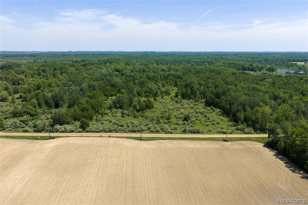 Parcel B Freiburger Road Snover, MI 48472 - Photo 6 of 6
