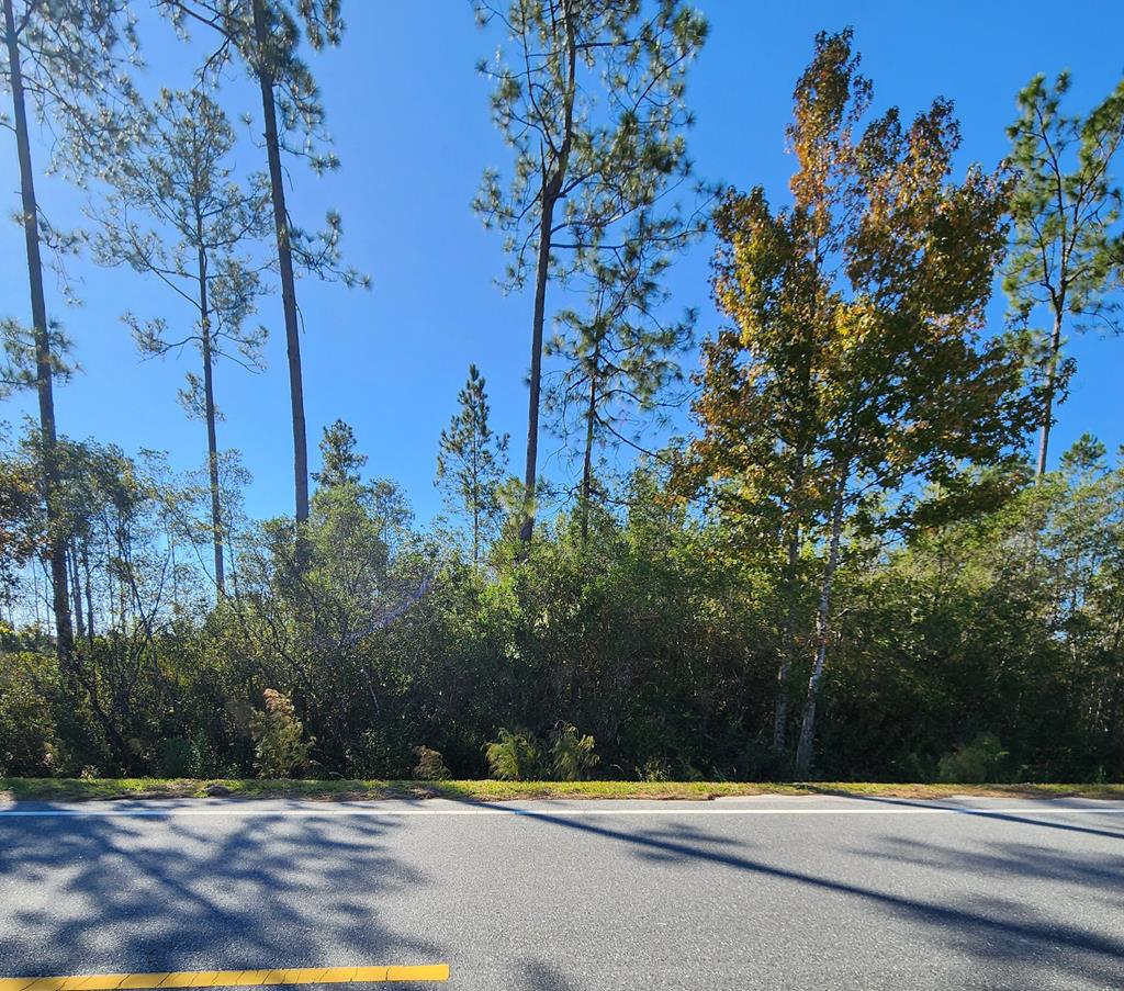 Lot 32 Doc Whitfield Road Wewahitchka, FL 32465 - Photo 1 of 5