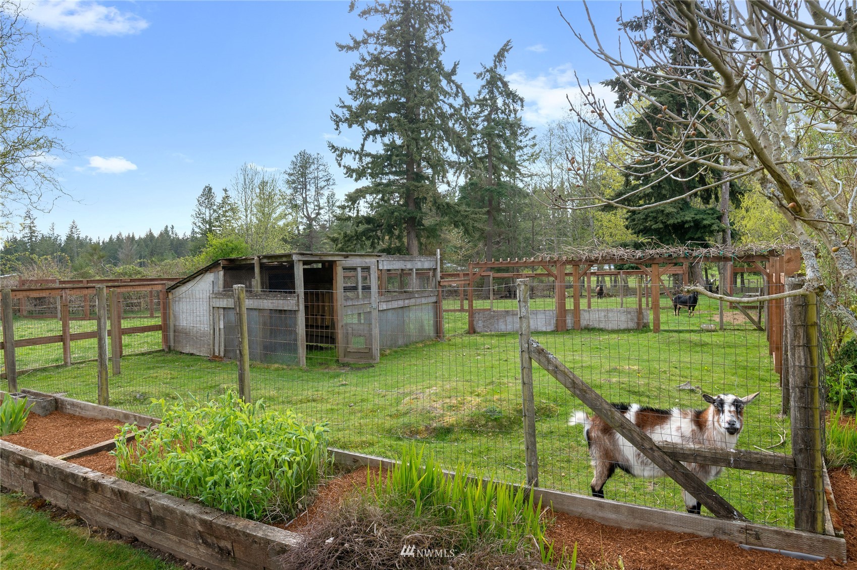 3081 Northeast Lincoln Road Poulsbo, WA 98370 - Photo 31 of 40 Gallery Image 31
