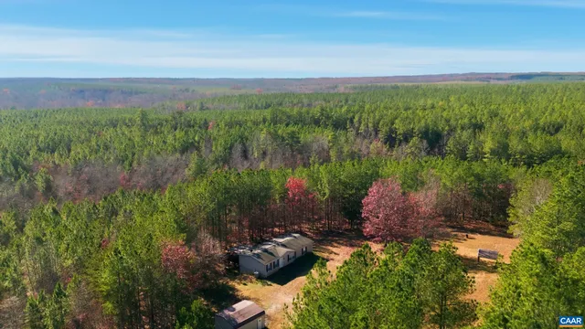 a picture of street view with lots of trees