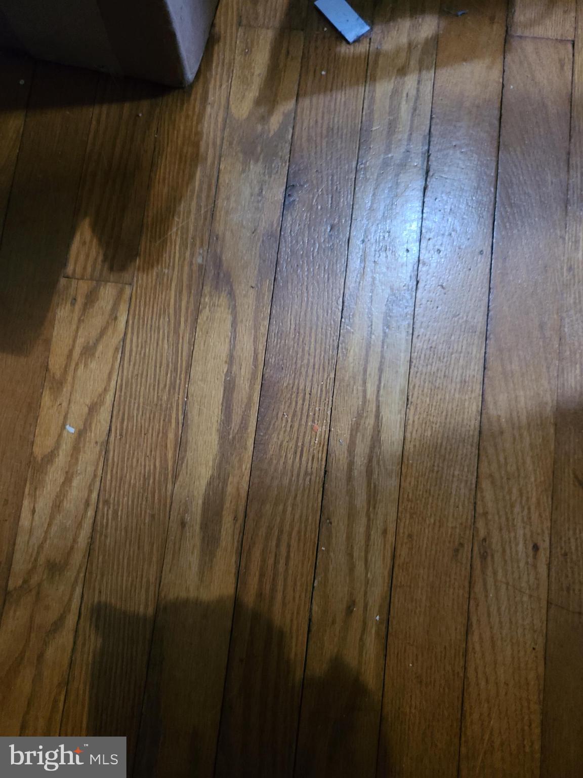 7311 North 21st Street Philadelphia, PA 19138 - Photo 17 of 25 Hardwood upstairs ans under carpeting