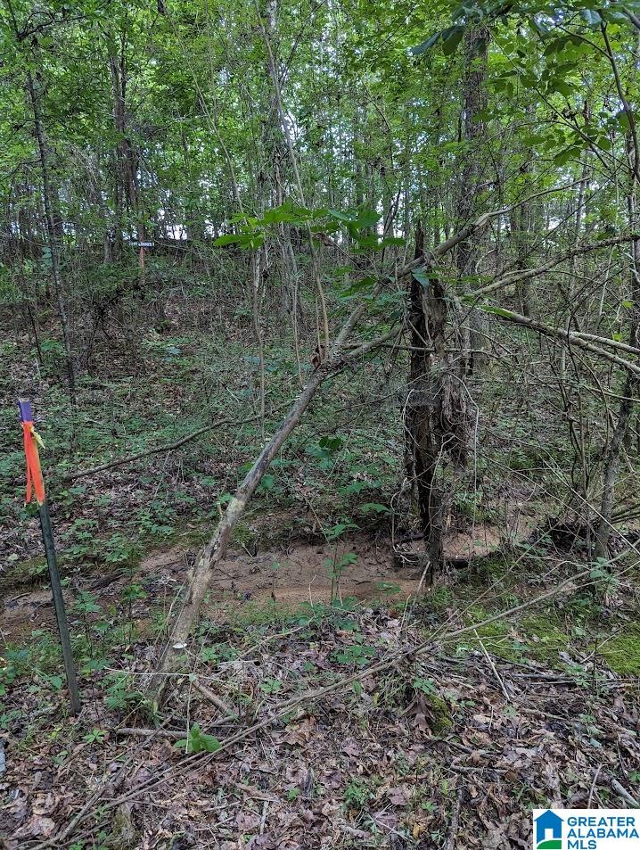 310 County Road 249 Clanton, AL 35046 - Photo 61 of 85