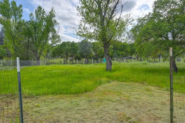 a view of a park with trees