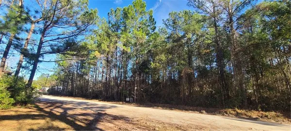 $29,900 | 81 Floyd Drive Northeast, Townsend, GA 31331