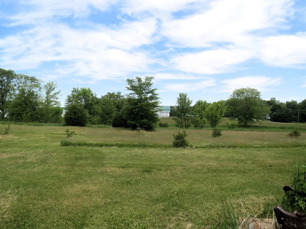 21785 Brooks Road Prophetstown, IL 61277 - Photo 34 of 38 a view of field with green space