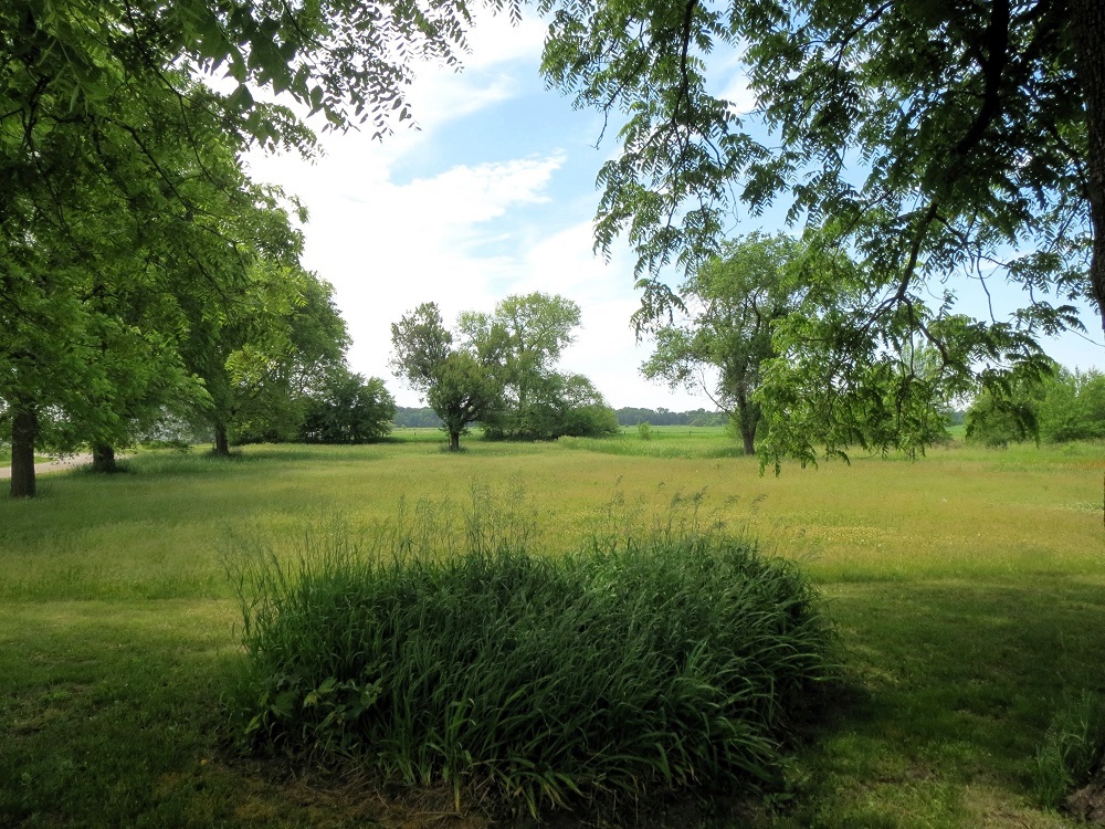 21785 Brooks Road Prophetstown, IL 61277 - Photo 35 of 38 a view of yard with green space