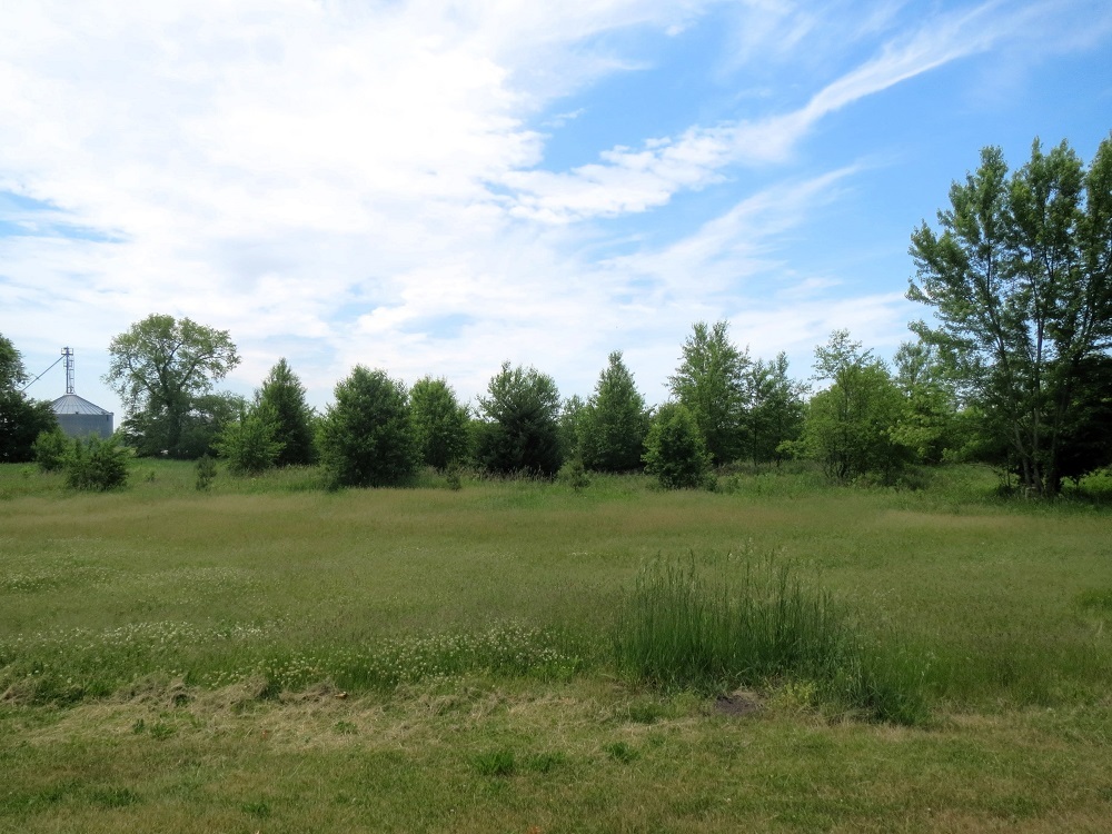 21785 Brooks Road Prophetstown, IL 61277 - Photo 37 of 38 a view of field with trees in the background