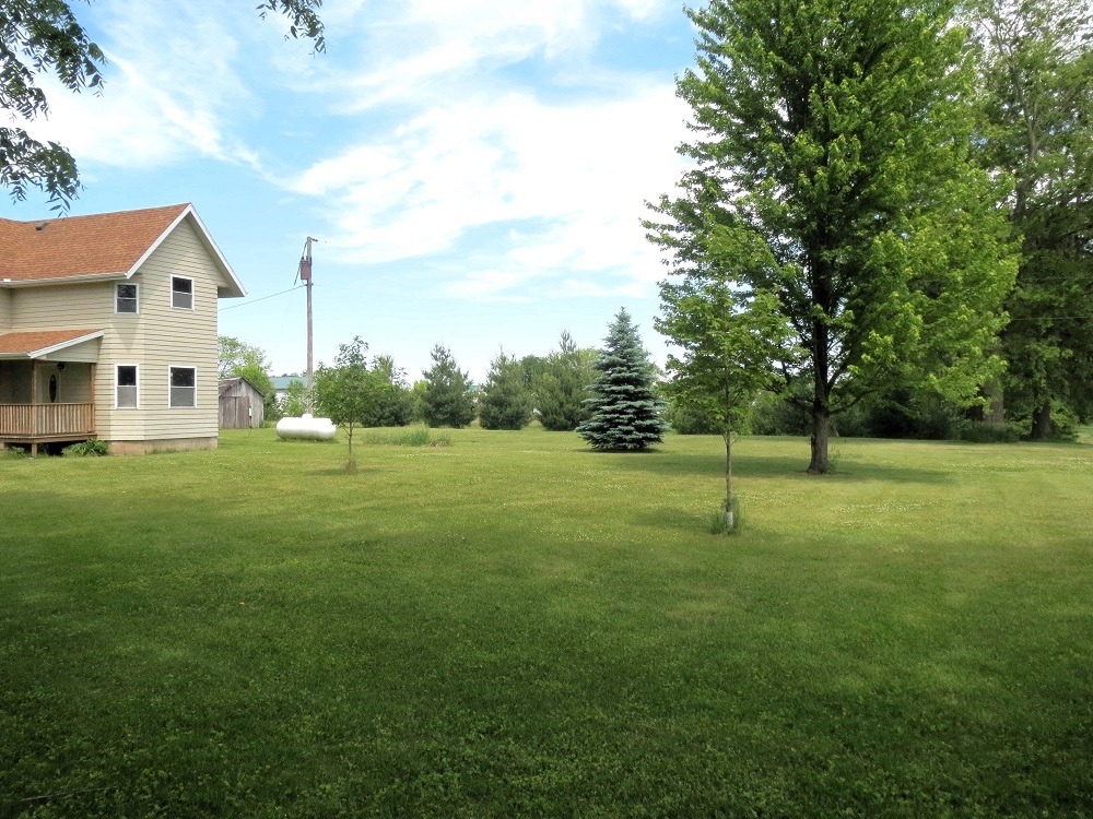 21785 Brooks Road Prophetstown, IL 61277 - Photo 38 of 38 a backyard of a house with lots of green space