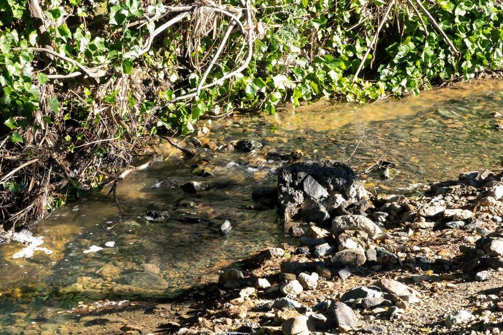 9600 Golf Links Road Oakland, CA 94605 - Photo 11 of 47 Exterior view