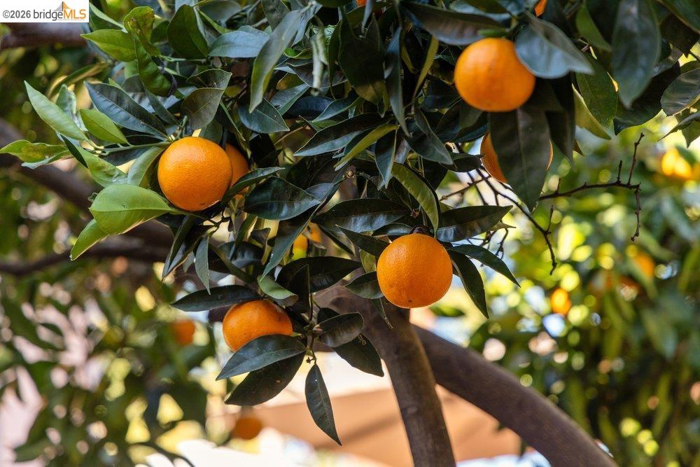 9600 Golf Links Road Oakland, CA 94605 - Photo 46 of 47 Exterior view