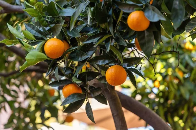 $780,000 | 9600 Golf Links Road, Oakland, CA 94605