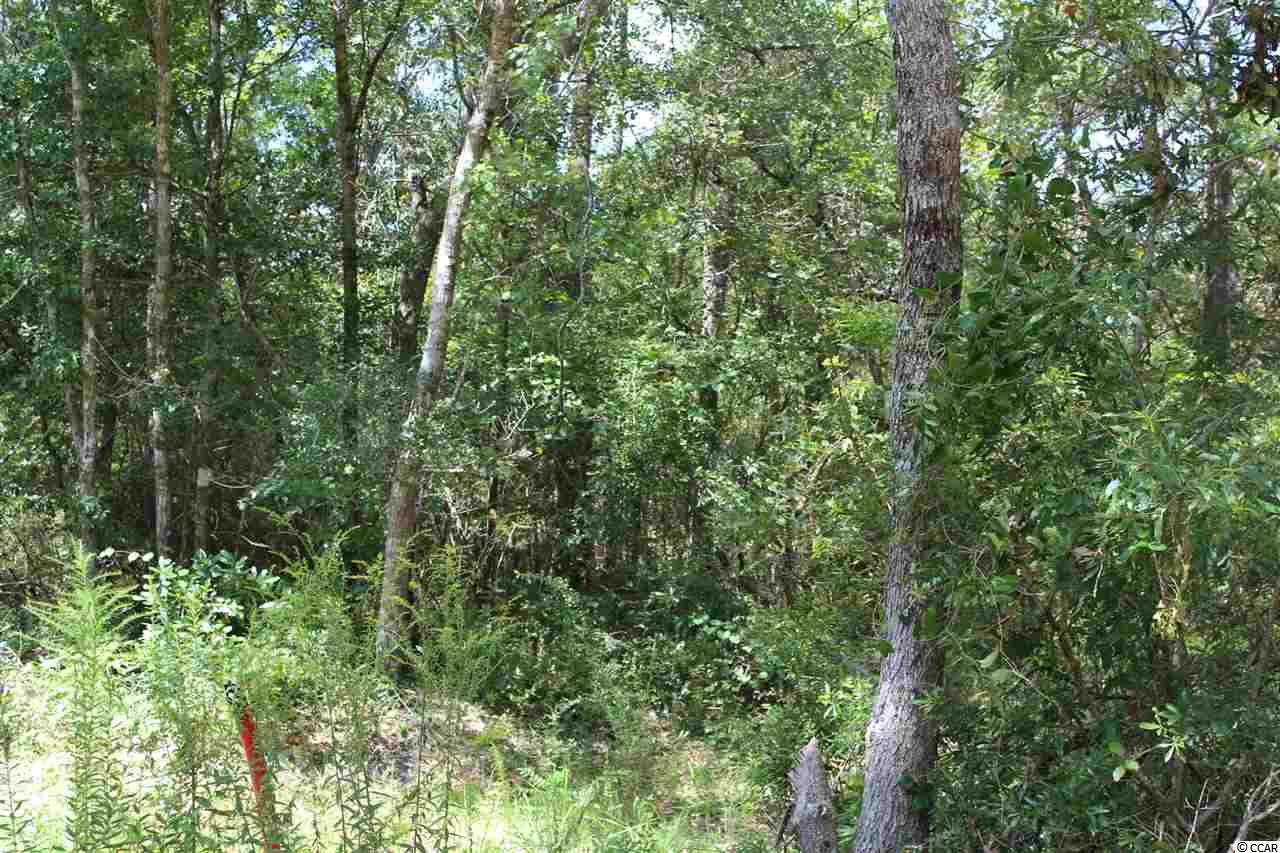 Tbd Old Tram Road Little River, SC 29566 - Photo 1 of 5 Gallery Image 1
