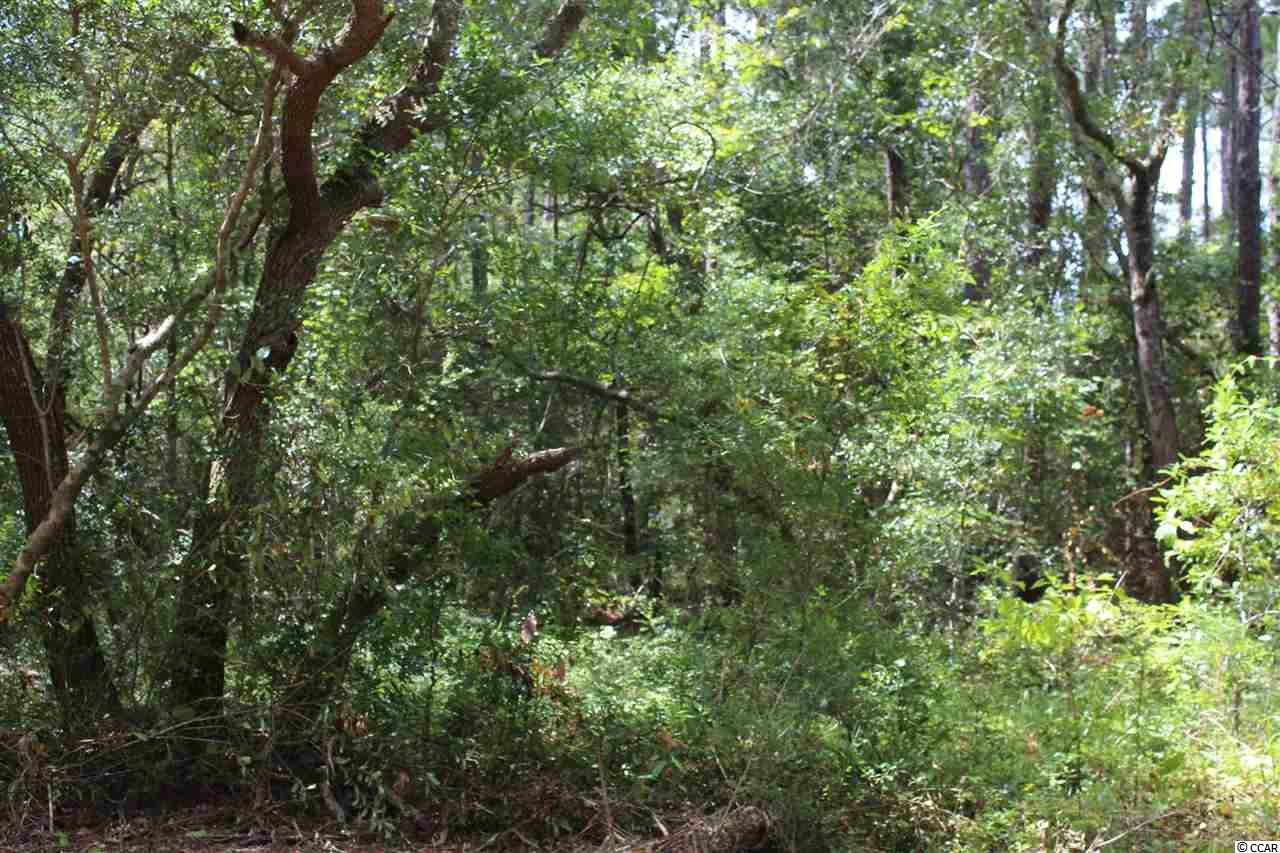 Tbd Old Tram Road Little River, SC 29566 - Photo 2 of 5 Gallery Image 2