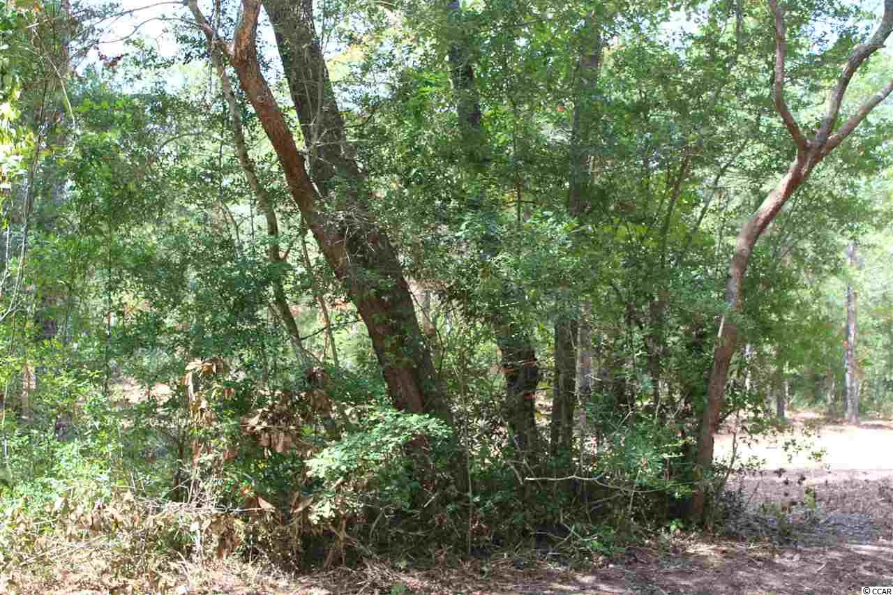 Tbd Old Tram Road Little River, SC 29566 - Photo 3 of 5 Gallery Image 3
