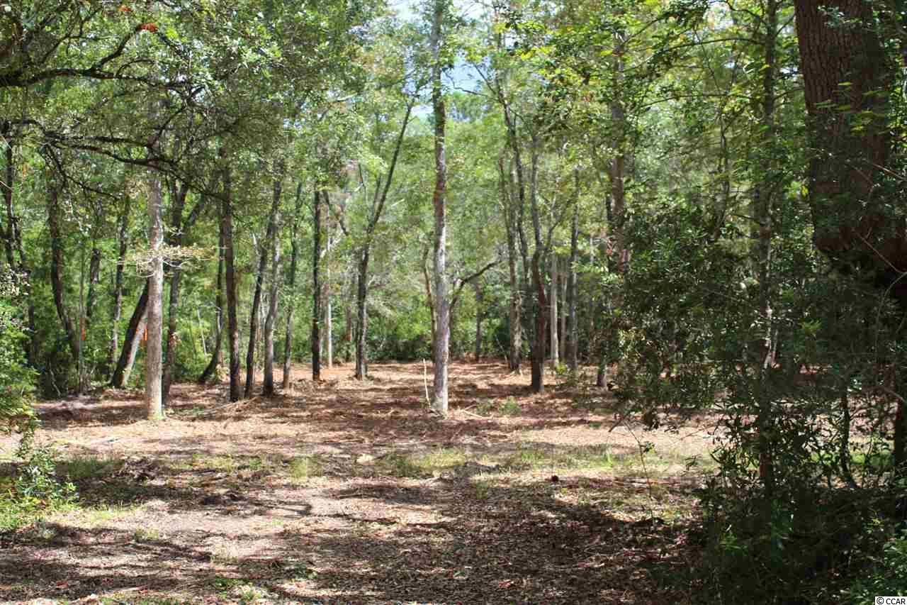 Tbd Old Tram Road Little River, SC 29566 - Photo 4 of 5 Gallery Image 4