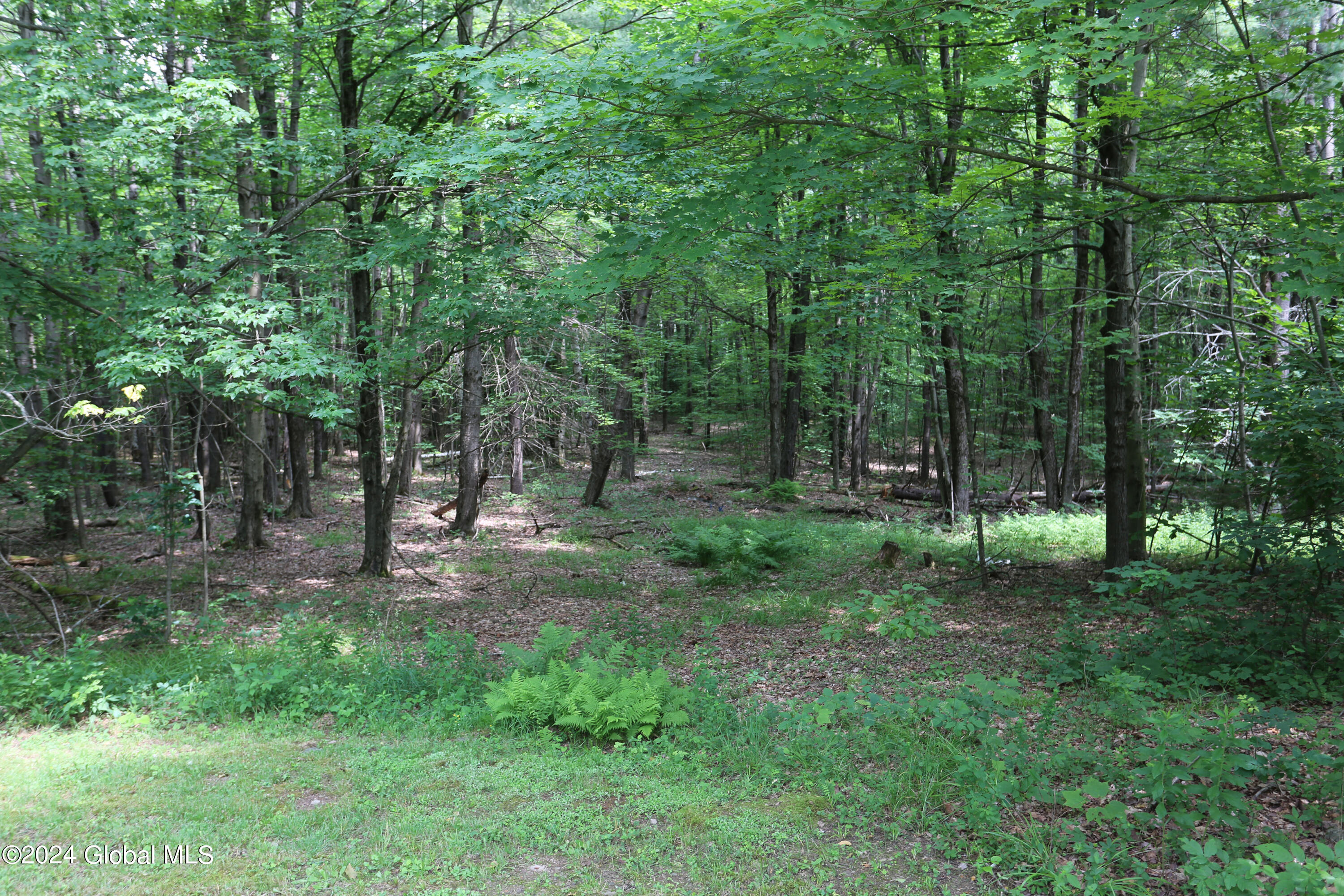 264 Federal City Road Middleburgh, NY 12122 - Photo 10 of 15 2H6A9234