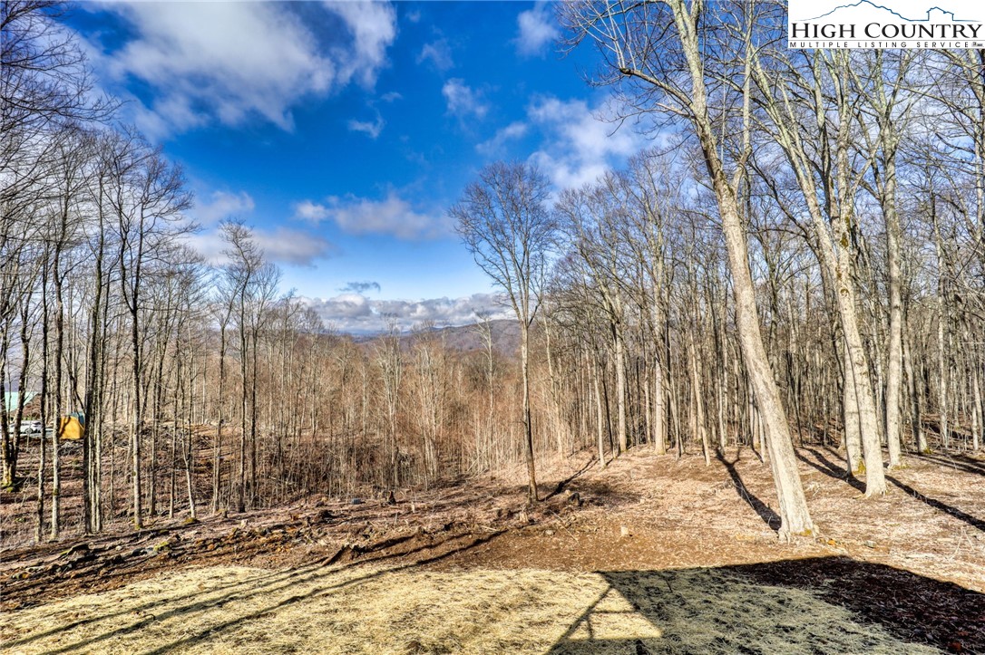 975 Harley Perry Road Zionville, NC 28698 - Photo 38 of 48 Gallery Image 38