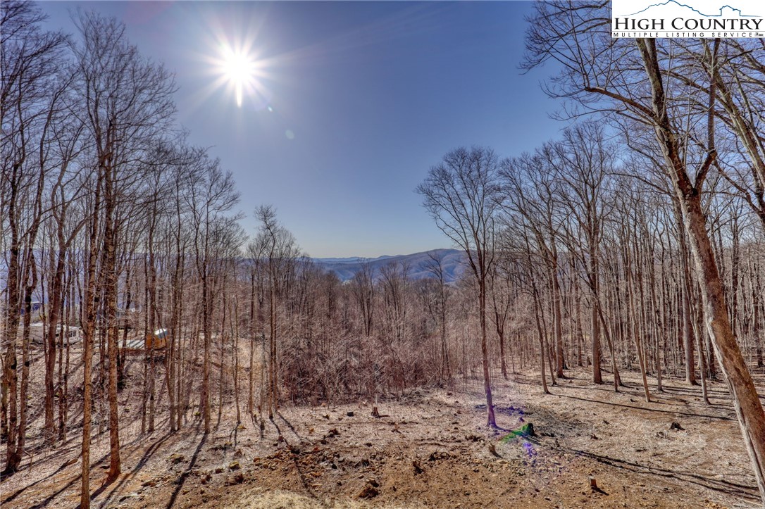 975 Harley Perry Road Zionville, NC 28698 - Photo 4 of 48 Gallery Image 4