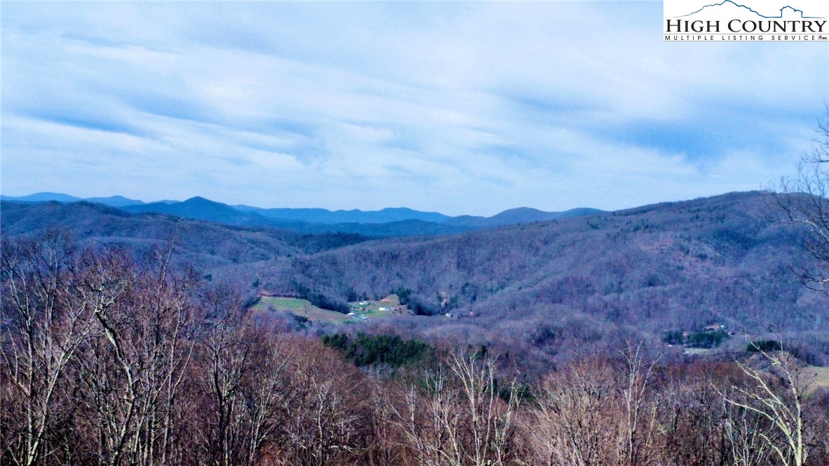 975 Harley Perry Road Zionville, NC 28698 - Photo 46 of 48 Gallery Image 46