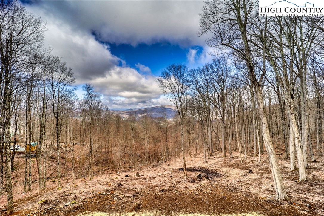975 Harley Perry Road Zionville, NC 28698 - Photo 5 of 48 Gallery Image 5