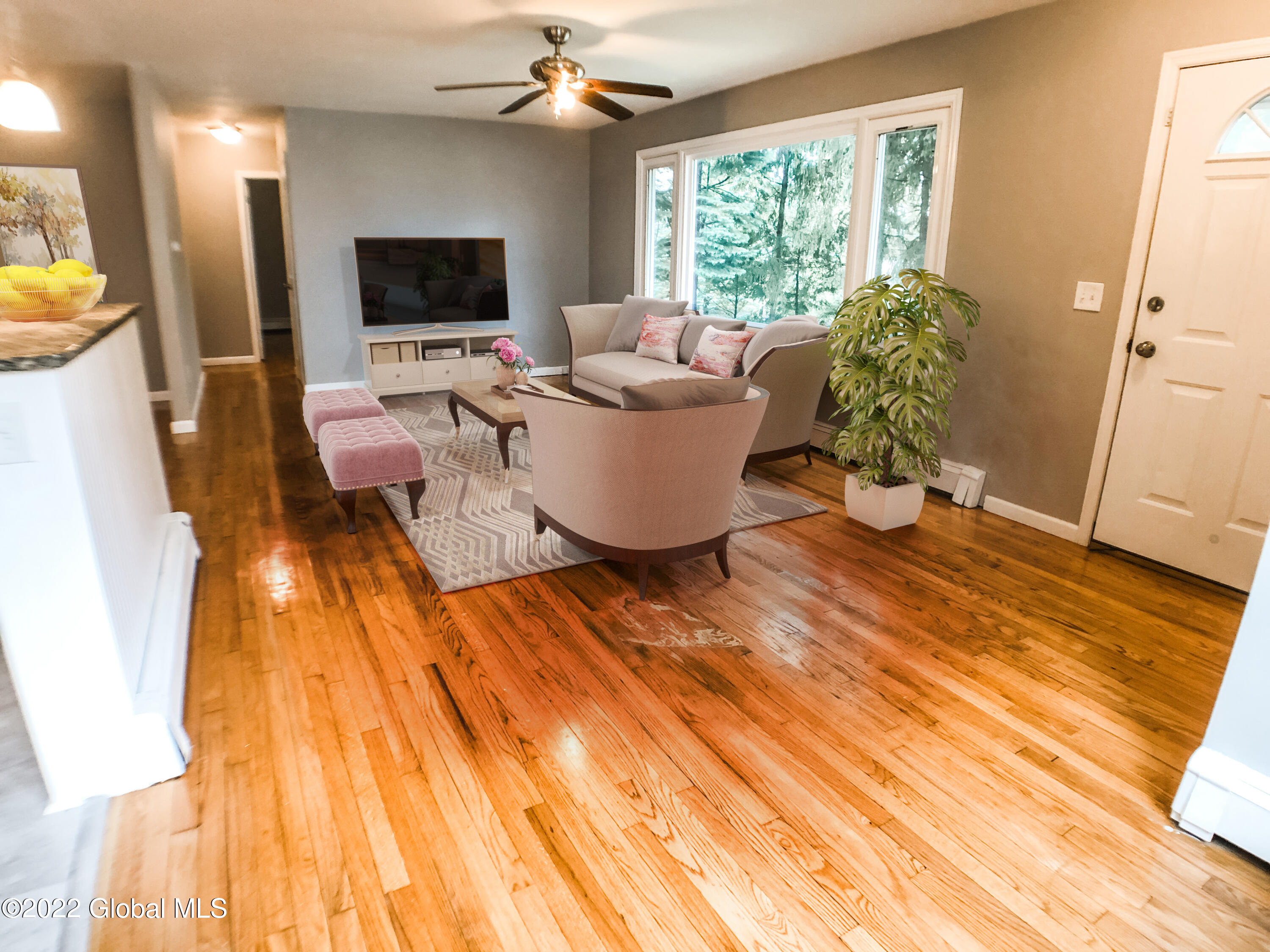 4052 River Road Colonie, NY 12309 - Photo 10 of 24 IMG_3847-Living Room #2