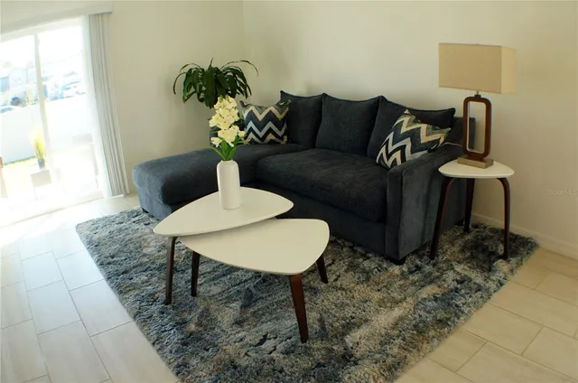a living room with furniture flowerpot and a rug