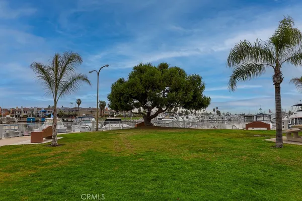 a view of a lake with a big yard and palm trees