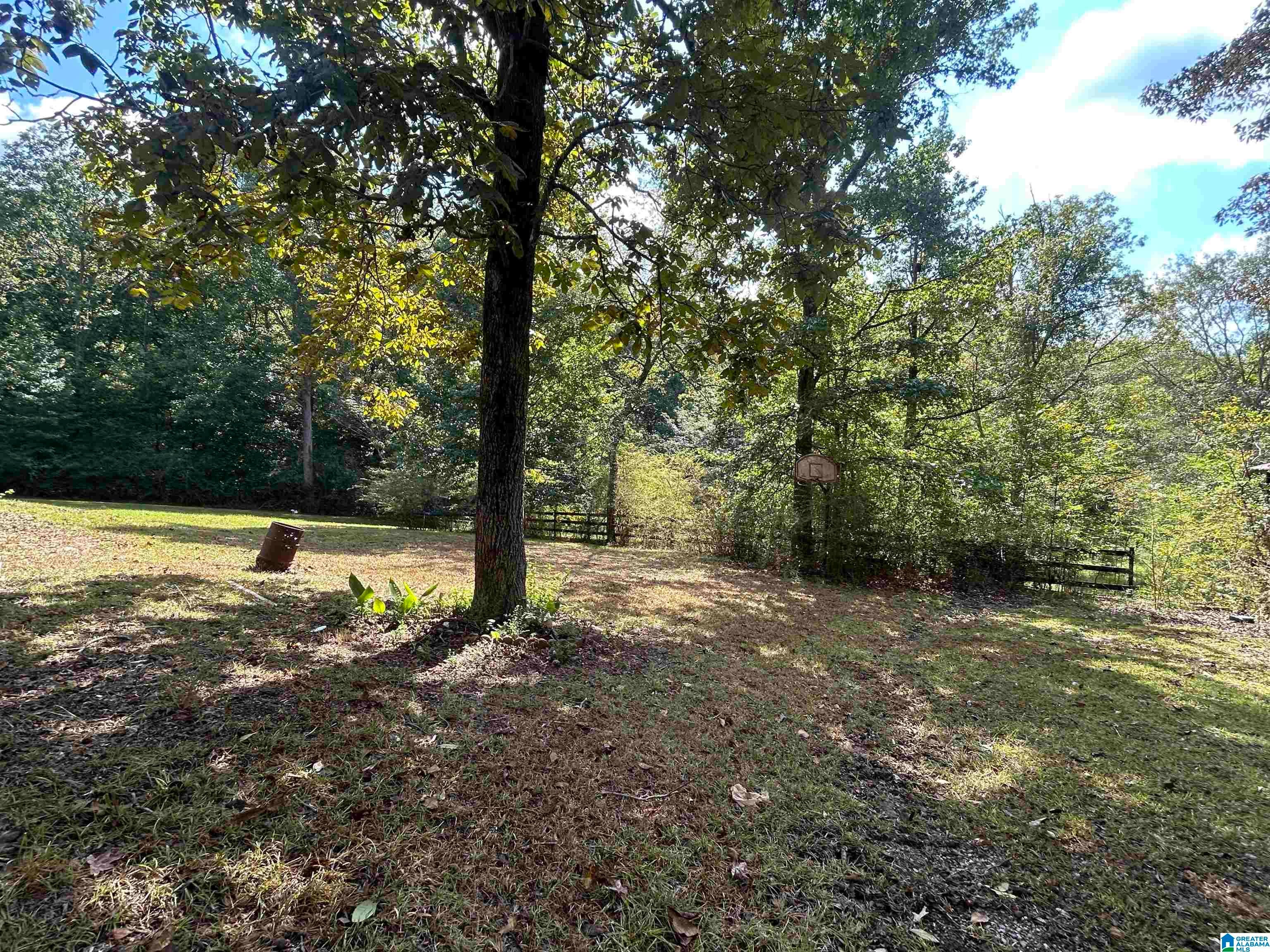 1195 Rocky Rdg Road Odenville, AL 35120 - Photo 4 of 29 Gallery Image 4