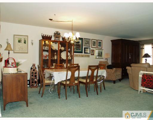4802 Stonehedge Road Edison, NJ 08820 - Photo 4 of 10