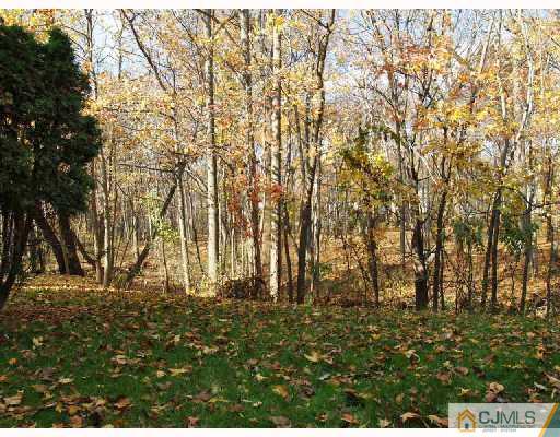 4802 Stonehedge Road Edison, NJ 08820 - Photo 10 of 10