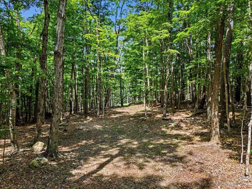 951 West Road Ashfield, MA 01330 - Photo 5 of 30 Gallery Image 5