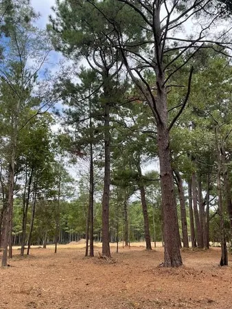 $199,500 | 3 Hwy 45 Cross Sc 29436, Cross, SC 29436