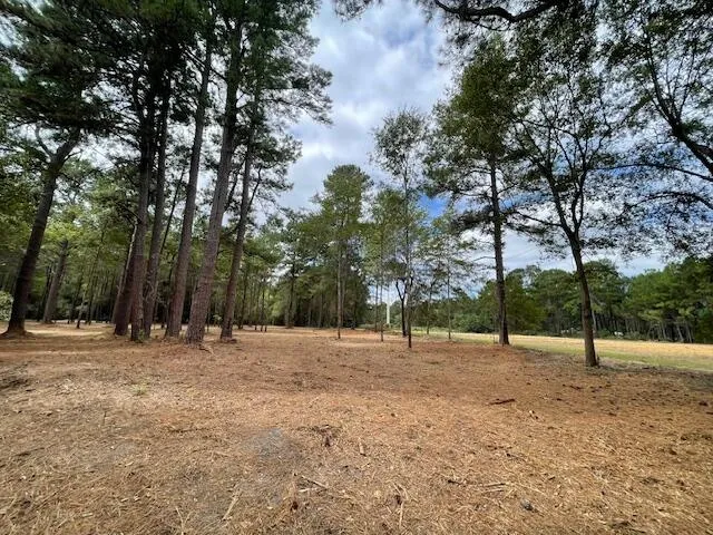 $199,800 | 3 Hwy 45 Cross Sc 29436, Cross, SC 29436
