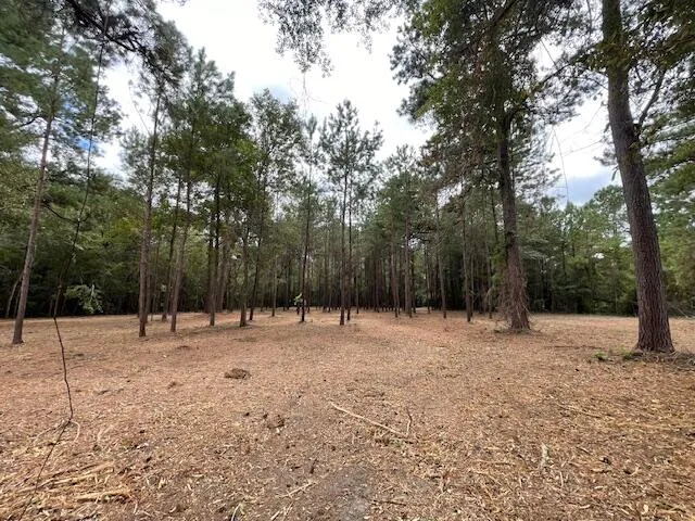 $199,800 | 3 Hwy 45 Cross Sc 29436, Cross, SC 29436