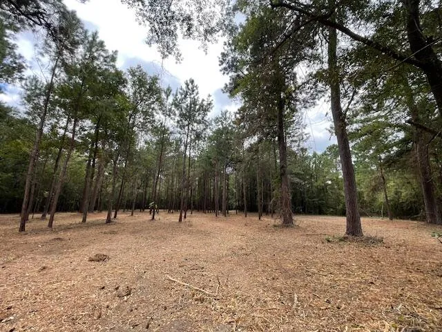 $199,800 | 3 Hwy 45 Cross Sc 29436, Cross, SC 29436