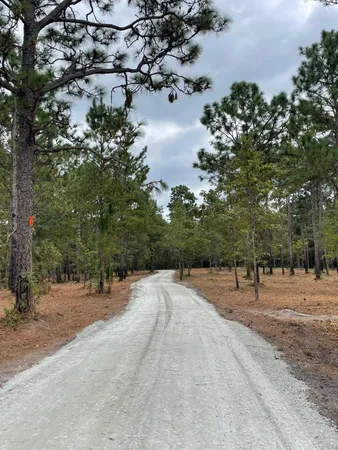 $199,500 | 3 Hwy 45 Cross Sc 29436, Cross, SC 29436