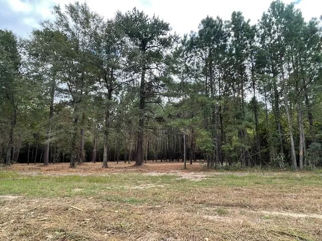 $199,800 | 3 Hwy 45 Cross Sc 29436, Cross, SC 29436