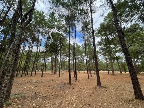 $199,500 | 3 Hwy 45 Cross Sc 29436, Cross, SC 29436