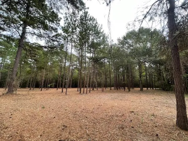 $199,500 | 3 Hwy 45 Cross Sc 29436, Cross, SC 29436