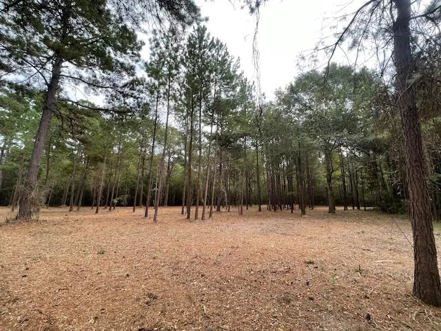 $199,800 | 3 Hwy 45 Cross Sc 29436, Cross, SC 29436