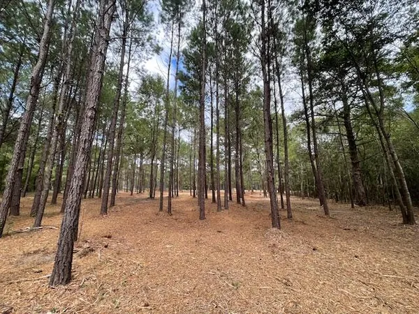 $199,500 | 3 Hwy 45 Cross Sc 29436, Cross, SC 29436