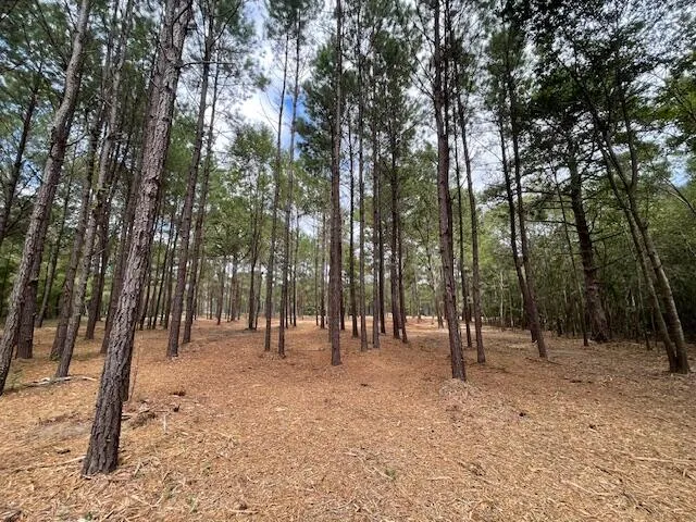 $199,800 | 3 Hwy 45 Cross Sc 29436, Cross, SC 29436