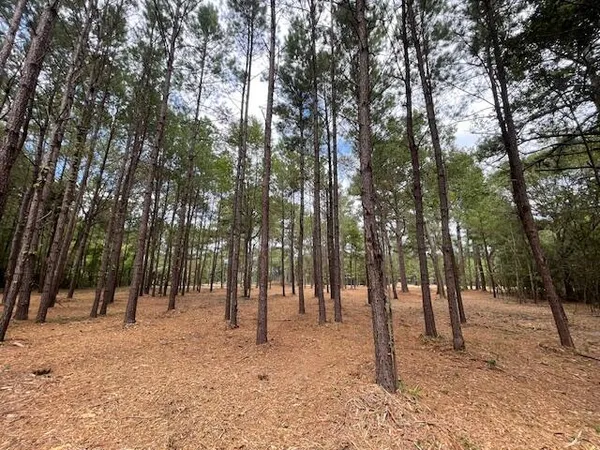 $199,500 | 3 Hwy 45 Cross Sc 29436, Cross, SC 29436