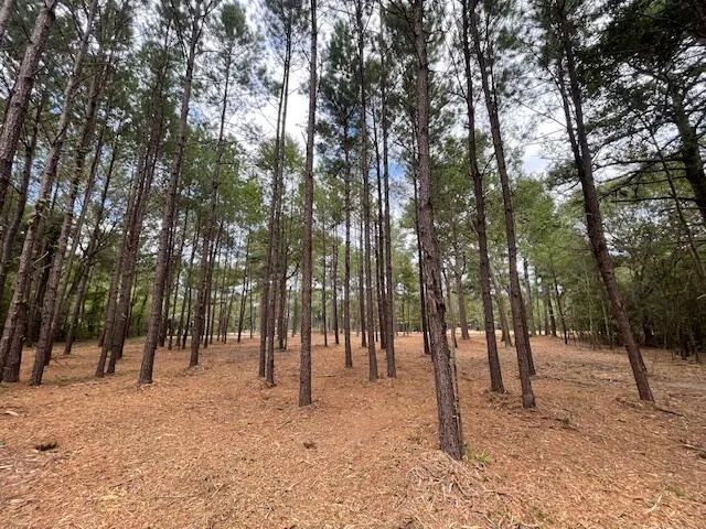 $199,800 | 3 Hwy 45 Cross Sc 29436, Cross, SC 29436