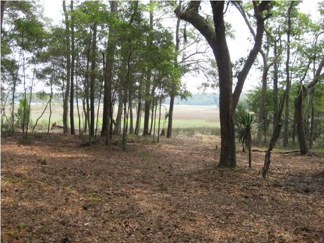 25 Chisolm Plantation Road Edisto Island, SC 29438 - Photo 1 of 4 Primary Photo