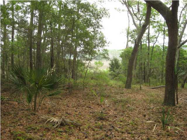 25 Chisolm Plantation Road Edisto Island, SC 29438 - Photo 2 of 4 Additional Photo