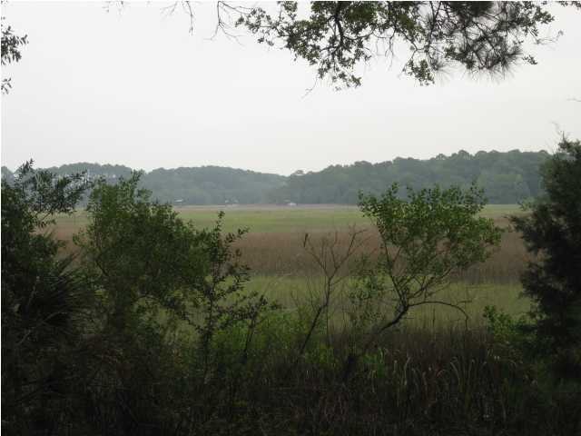 25 Chisolm Plantation Road Edisto Island, SC 29438 - Photo 4 of 4 Additional Photo
